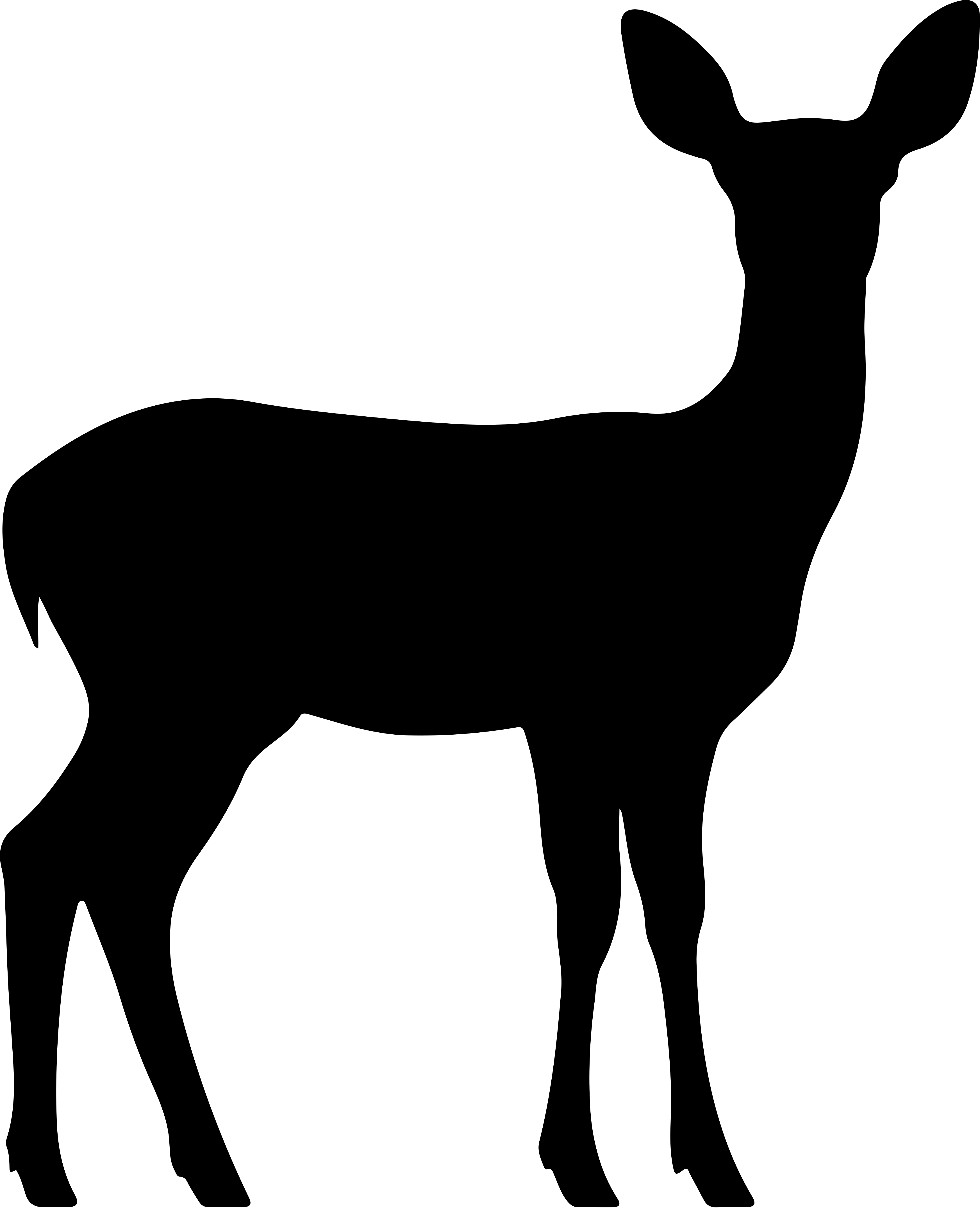 Mammifères
